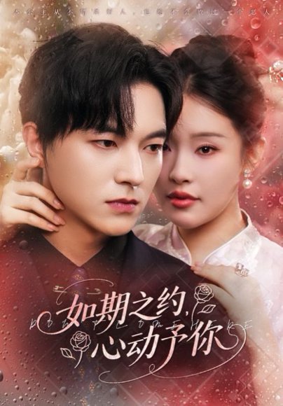 如期之约心动予你（82集）权睿&魏天浩 高清完整版