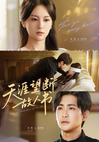 天涯望断故人书（60集） 高清完整版