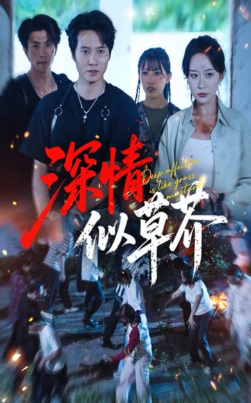 深情似草芥（51集）源鑫&王瀚迎 高清完整版