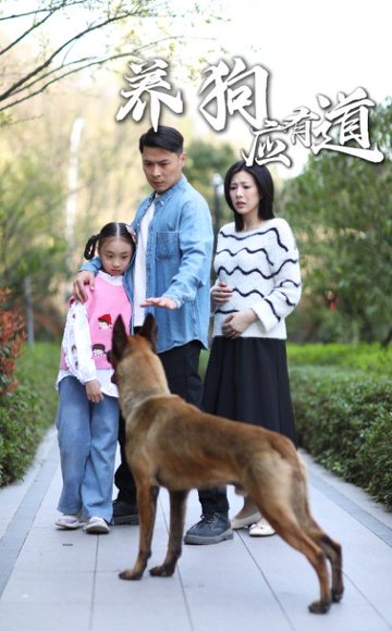 养狗应有道（60集） 高清完整版