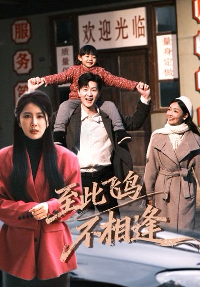 到此飞鸟不相逢（70集）王鹏&丁海霞 高清完整版