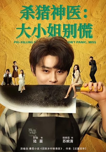杀猪神医，大小姐别慌（80集）舒瀚＆杨晰茹 高清完整版